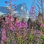 Maison Meynet Mountain Charm Apartamento