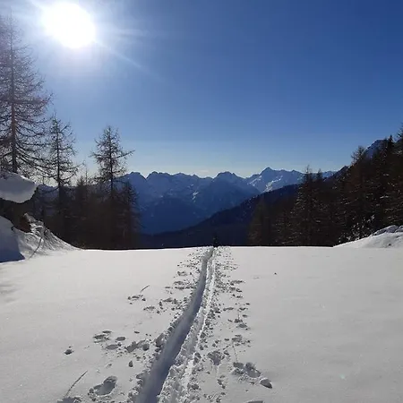 Maison Meynet Mountain Charm Διαμέρισμα *